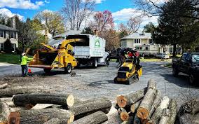 Best Organic Lawn Care Solutions  in Coalville, UT